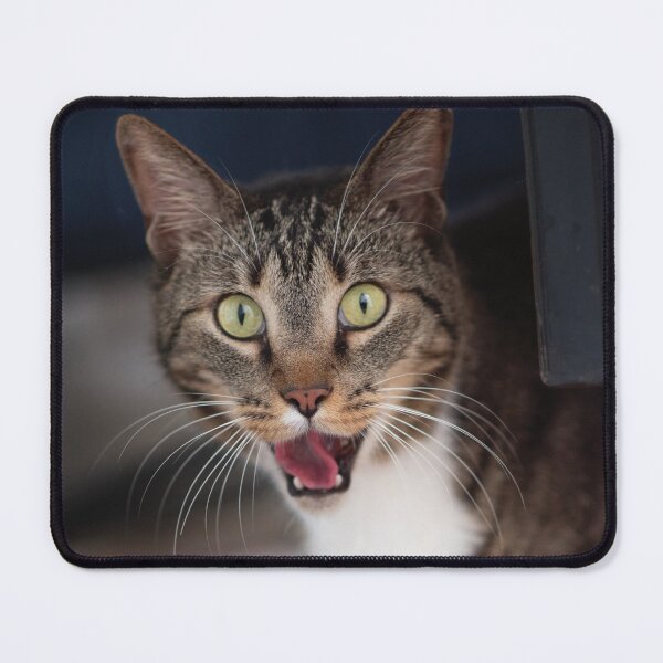 Item preview, Cute cat face designed and sold by flamendes.
