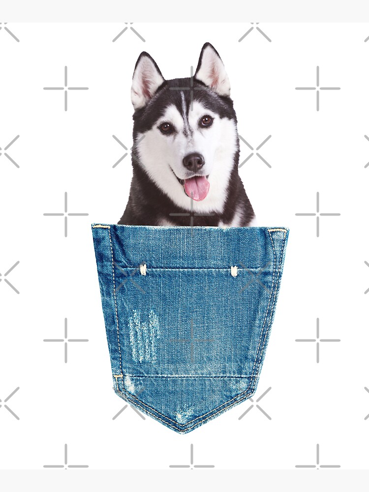 Huskies Tote Bag, Tote Bag For Husky Lovers, Husky Gifts, Husky Mum, Husky  Dad, Reusable Shopping Bag, Mothers Day Gifts For Women, Birthday