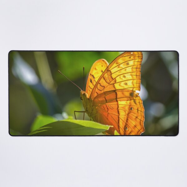 Item preview, Orange Butterfly designed and sold by Jola Martysz.