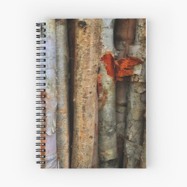 Item preview, Colourful Birch Bark designed and sold by NearScapes.