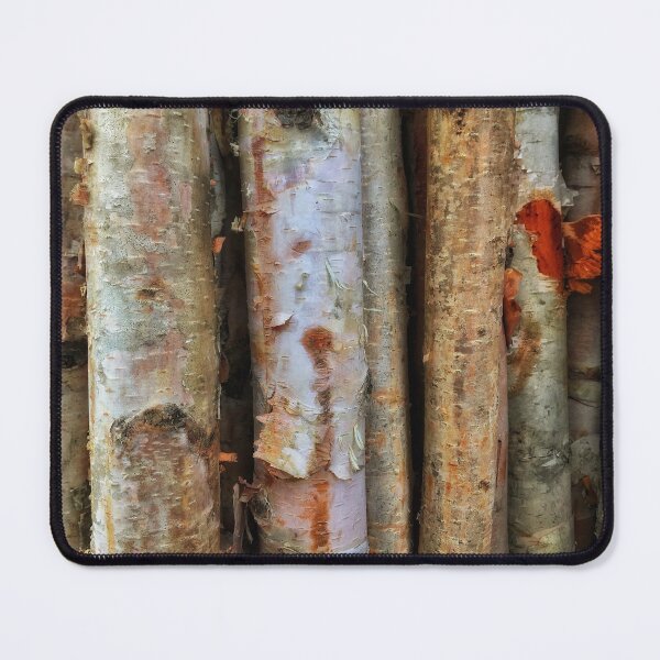 Item preview, Colourful Birch Bark designed and sold by NearScapes.