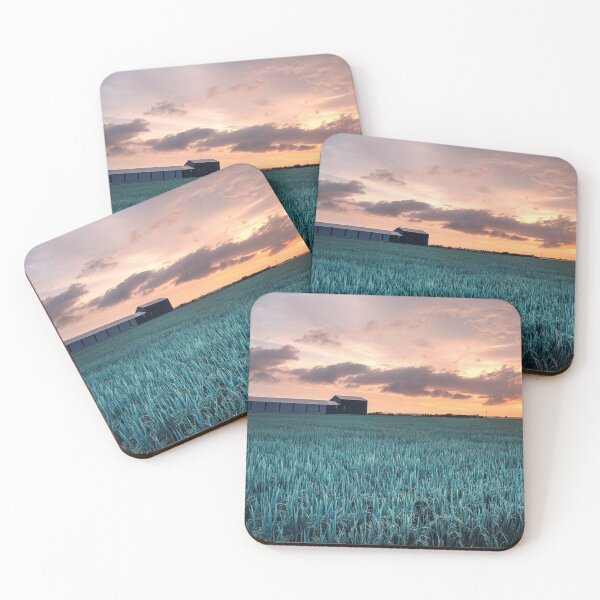 Item preview, Sunset landscape of rice paddy field designed and sold by sinseeho.