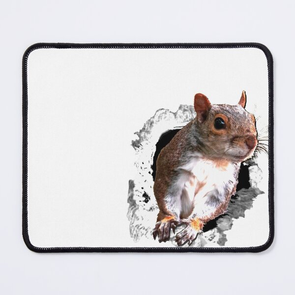 Item preview, Animals Squirrel designed and sold by RiffXS.
