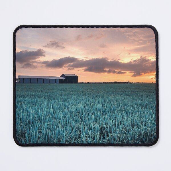 Item preview, Sunset landscape of rice paddy field designed and sold by sinseeho.
