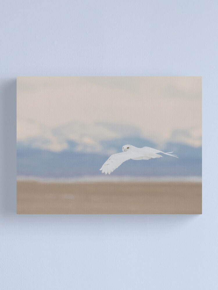 Alternate view of Snowy Owl Canvas Print