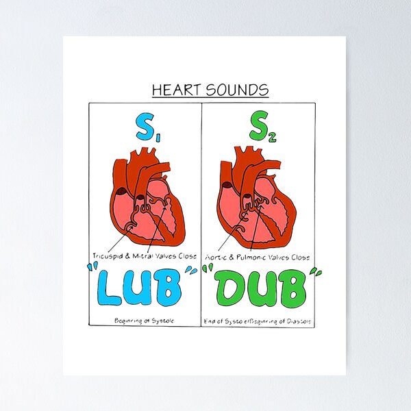 Heart Sounds Posters for Sale Redbubble