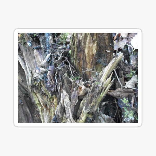 Snaggly Wood Sticker