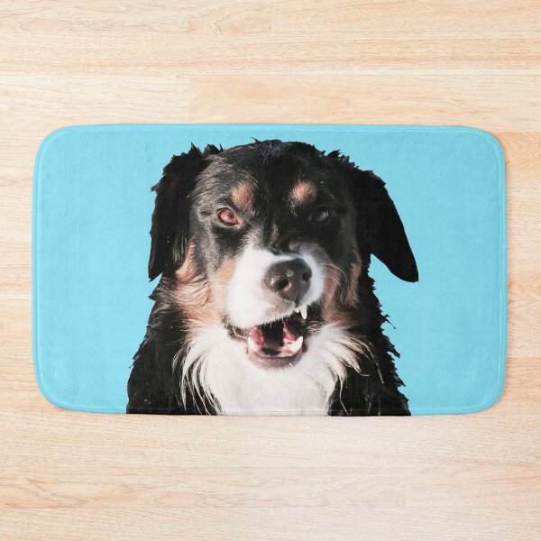 Item preview, Border Collie Making A Funny Face - Photograph  designed and sold by Hallamalla.