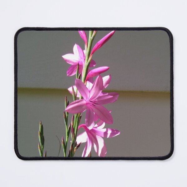 Item preview, Pink lily flowers designed and sold by greentiger1.