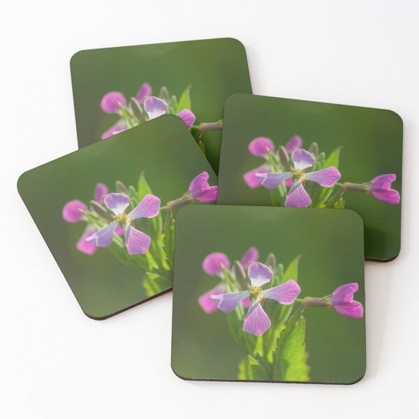 Item preview, elb radish designed and sold by pcfyi.