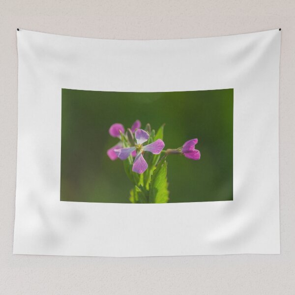 Item preview, elb radish designed and sold by pcfyi.