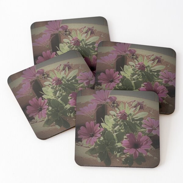 Item preview, Daisies through a lens designed and sold by buttakittin.