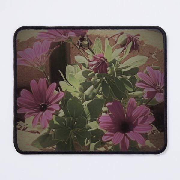 Item preview, Daisies through a lens designed and sold by buttakittin.