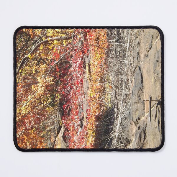 Item preview, Autumn Colors, Harsimus Branch Embankment, Jersey City, New Jersey designed and sold by lenspiro.