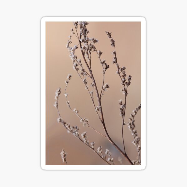 Spring's poem about winter -original Sticker