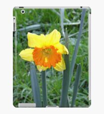 Tattered Daffodil iPad Case/Skin