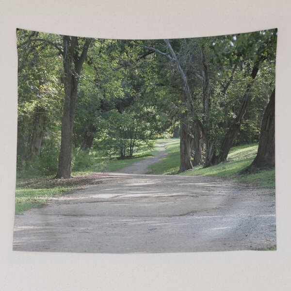 Item preview, Walking trail, Blunn Creek Greenbelt, Austin, TX designed and sold by Rennie Palmer.