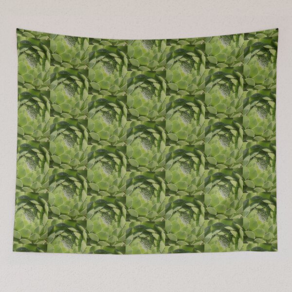 Item preview, Cactus Heart designed and sold by buttakittin.