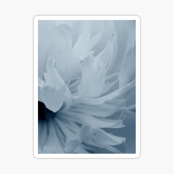 Drowning beauty Sticker