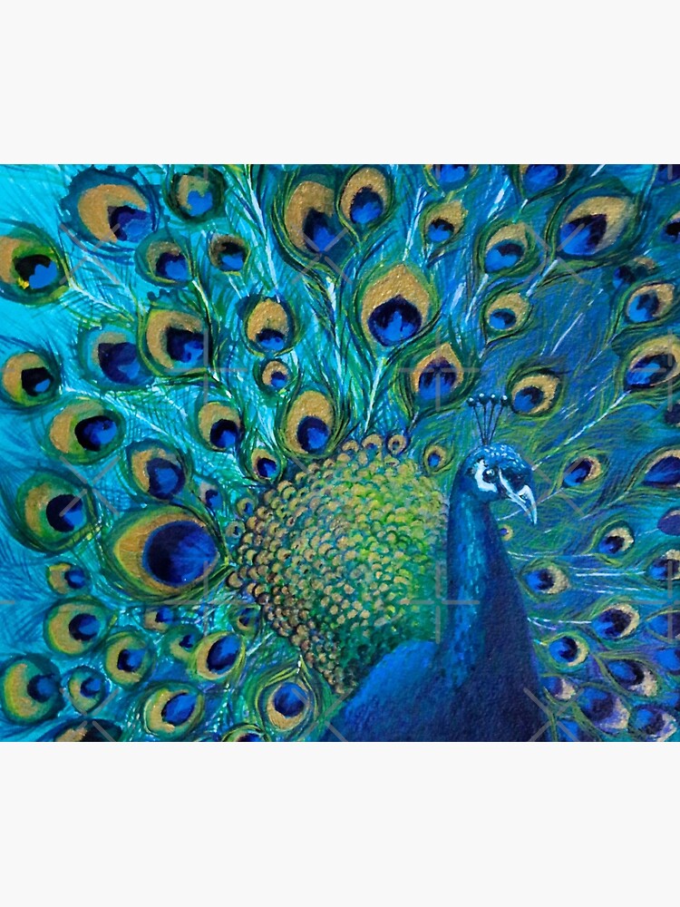 Full Glory Peacock by nicolamorgan