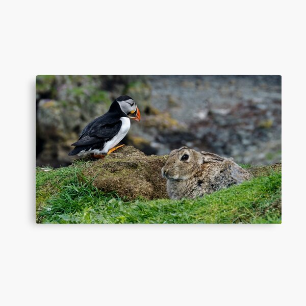 Item preview, The odd couple designed and sold by Karen Miller.