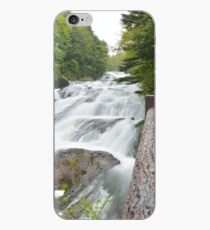 Dragon Fall iPhone Case