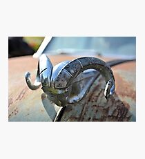 Ram Tuff Photographic Print