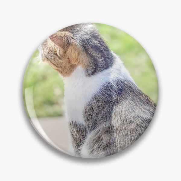 Item preview, Cat Under Sunshine in Exuma, Bahamas designed and sold by ywphotos.