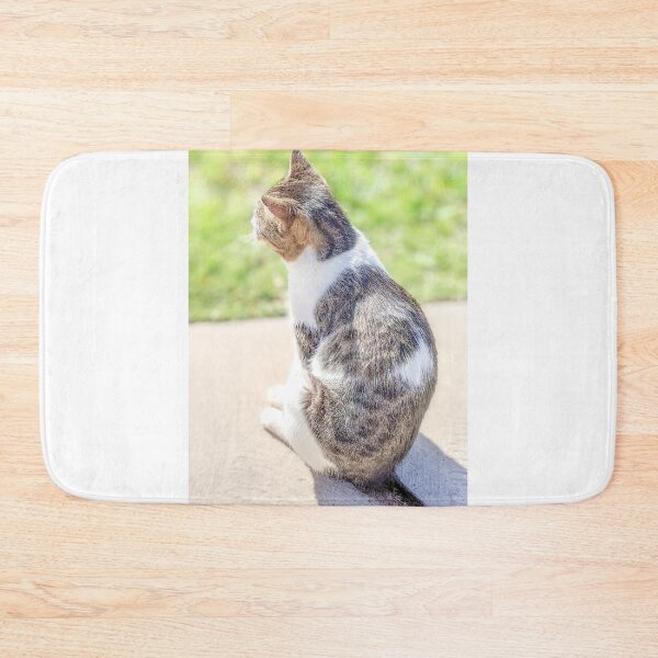 Item preview, Cat Under Sunshine in Exuma, Bahamas designed and sold by ywphotos.