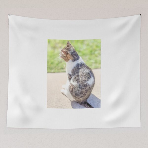 Item preview, Cat Under Sunshine in Exuma, Bahamas designed and sold by ywphotos.