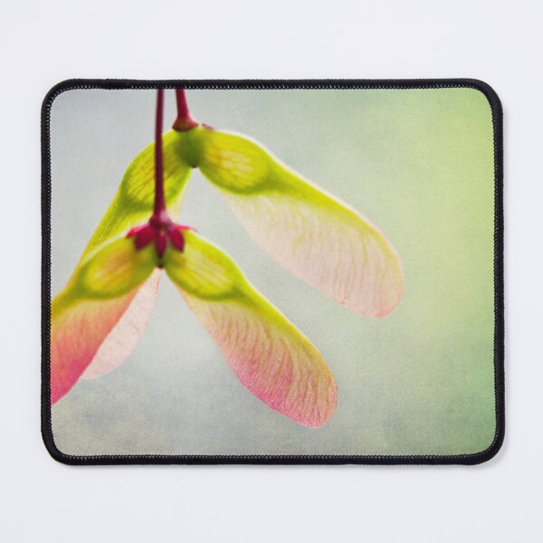 Item preview, Beginnings designed and sold by Melanie Lawson.