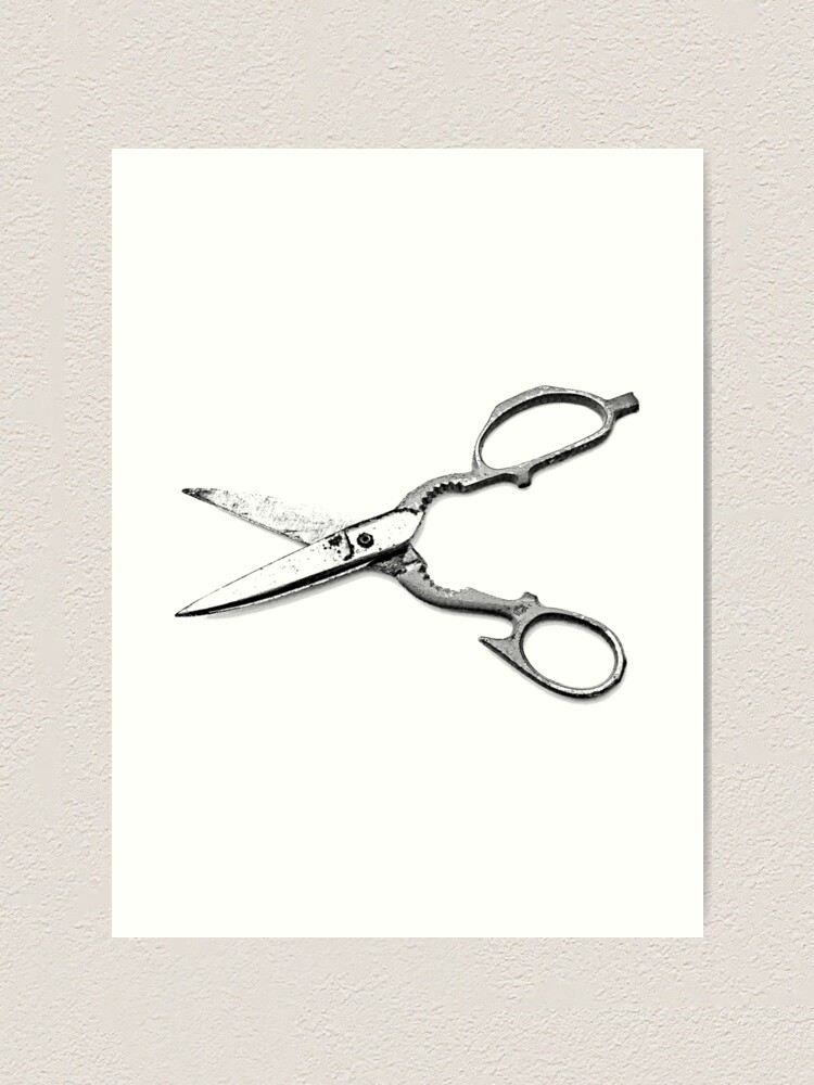 Antique Scissors. Craft Scissors. Metal Scissors. Crafting Tools. Crafting  Scissors. Art Print for Sale by digitaleclectic