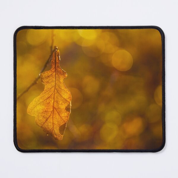 Item preview, From the autumn forest 2 designed and sold by Veikko  Suikkanen.
