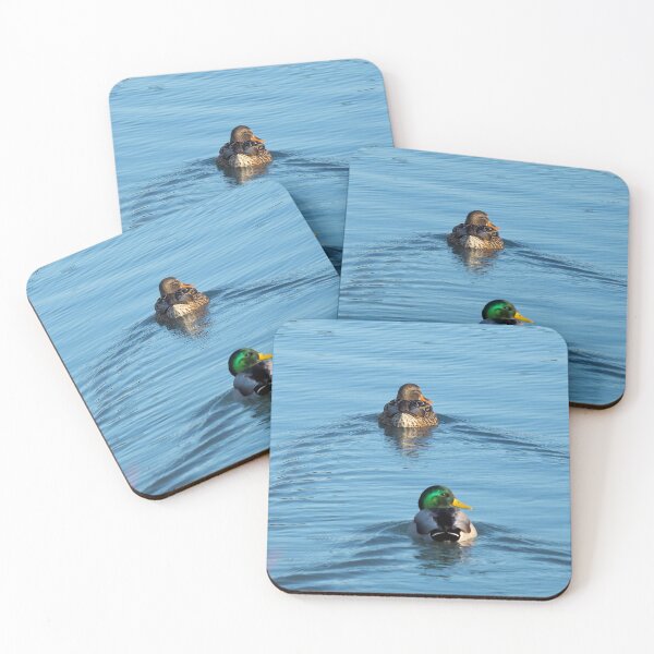 Item preview, Male and Female Mallard Swimming designed and sold by BackyardBirder.