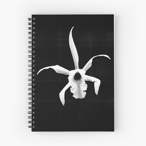 Item preview, Spider designed and sold by Natsky.