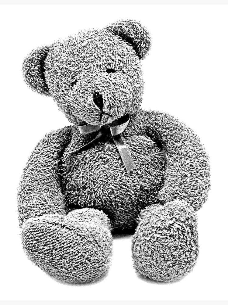 vintage black and white teddy bear