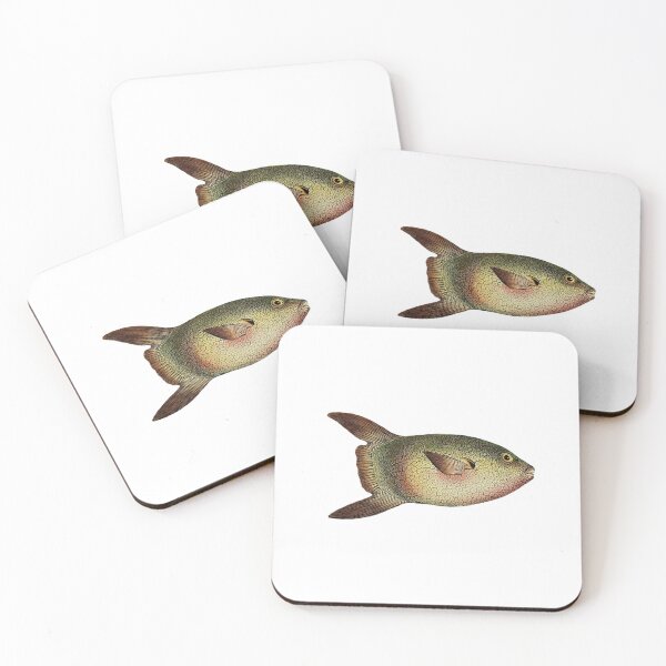 Item preview, Sun fish. 1801 designed and sold by BelleZeare.