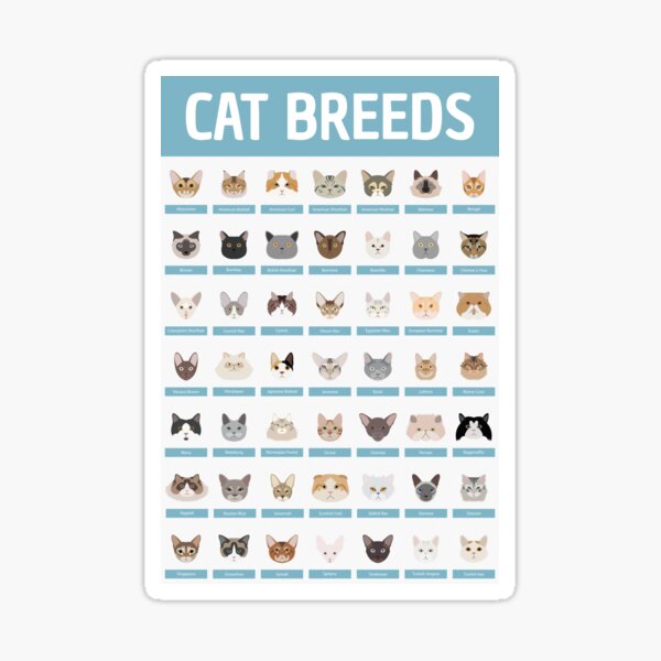 Cat Breeds Sticker