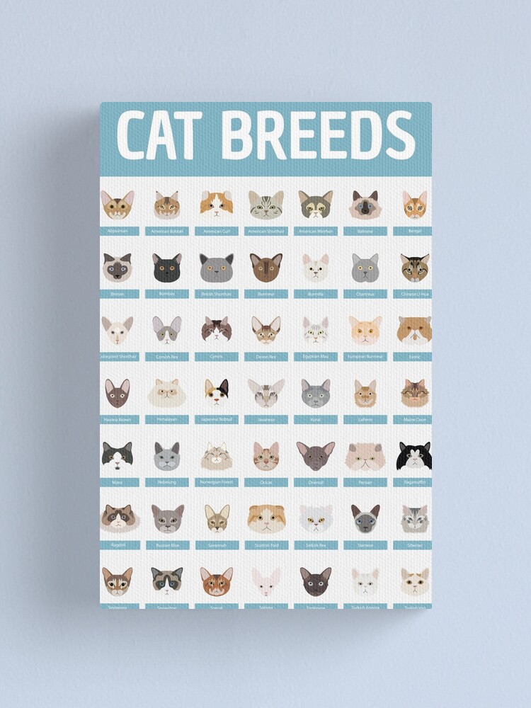 Alternate view of Cat Breeds Canvas Print