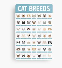 Cat Breeds Metal Print