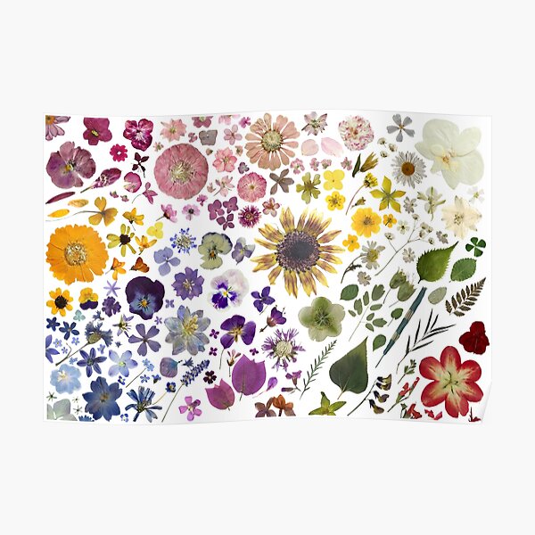 Pk 2 Floral Coeur Et Papillons maman Topper embellissement pour cartes et artisanat Pk 2 Floral Coeur Et Papillons maman Topper embellissement pour cartes et artisanat