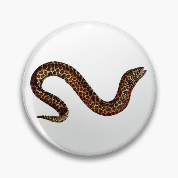 Item preview, Gymnothorax eel 1801 designed and sold by BelleZeare.