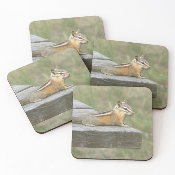 Item preview, Chipmunk designed and sold by Islandmasani.