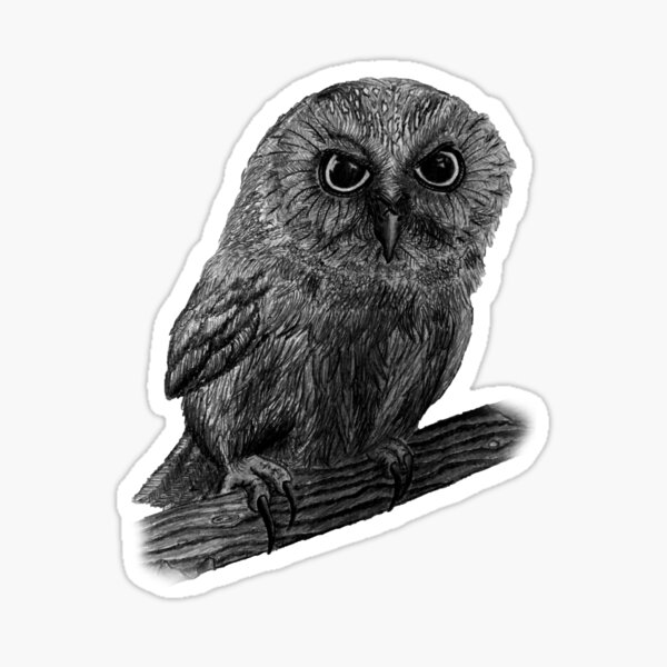 Twin Peaks - Ominous Owl - Ipad - Sticker