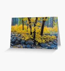 Autumn Gold Greeting Card