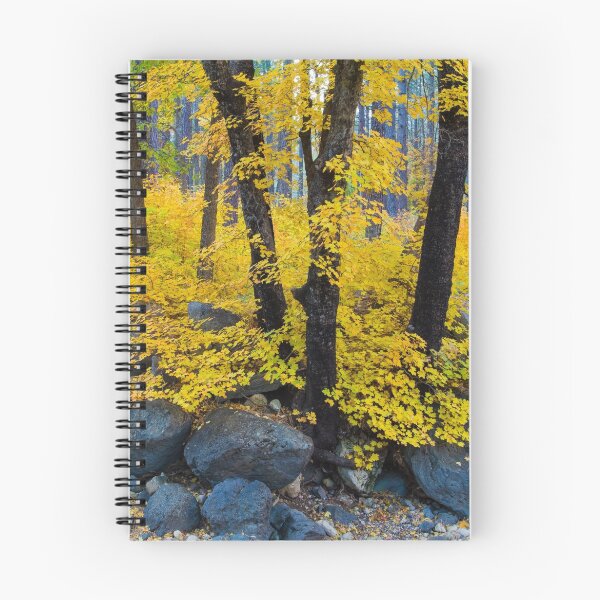 Item preview, Autumn Gold designed and sold by BGSPhoto.