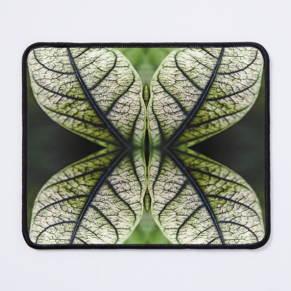 Item preview, Four Leaves designed and sold by Huskyyy Designs.