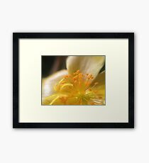 Macro flower Framed Print