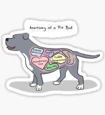 Anatomy of a Pit Bull Sticker