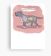 Anatomy of a Pit Bull Canvas Print
